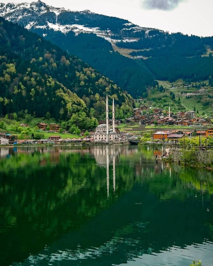 Yurt içi Turları