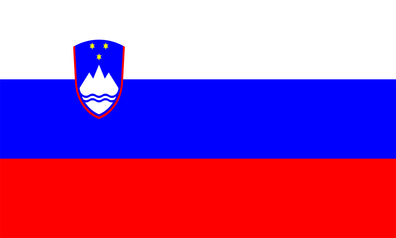 Slovenya Vizesi